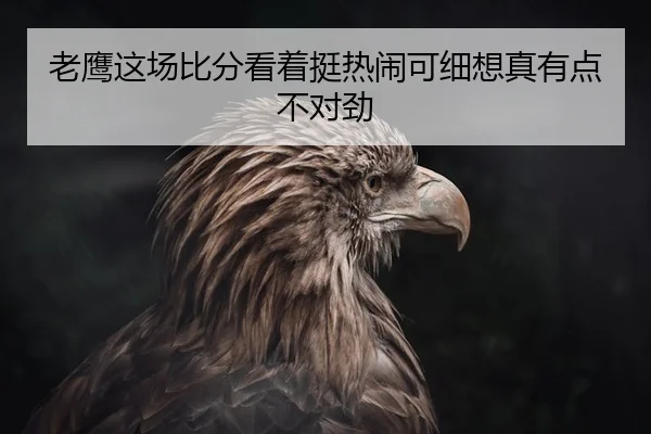 老鹰这场比分看着挺热闹可细想真有点不对劲