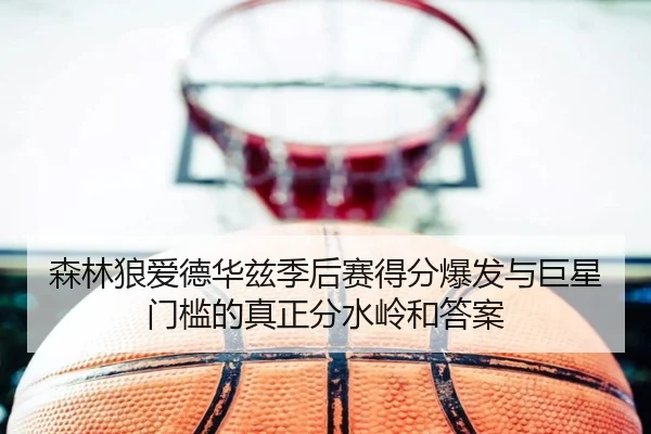 森林狼爱德华兹季后赛得分爆发与巨星门槛的真正分水岭和答案